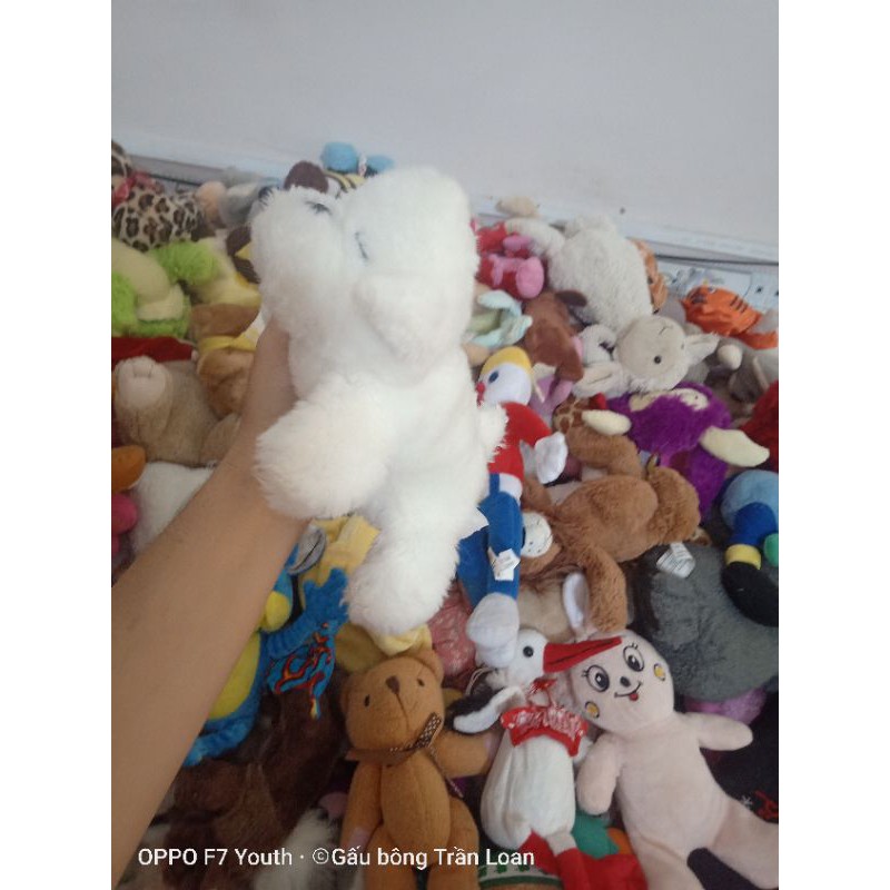 Gấu bông các con vật size 10_20cm
