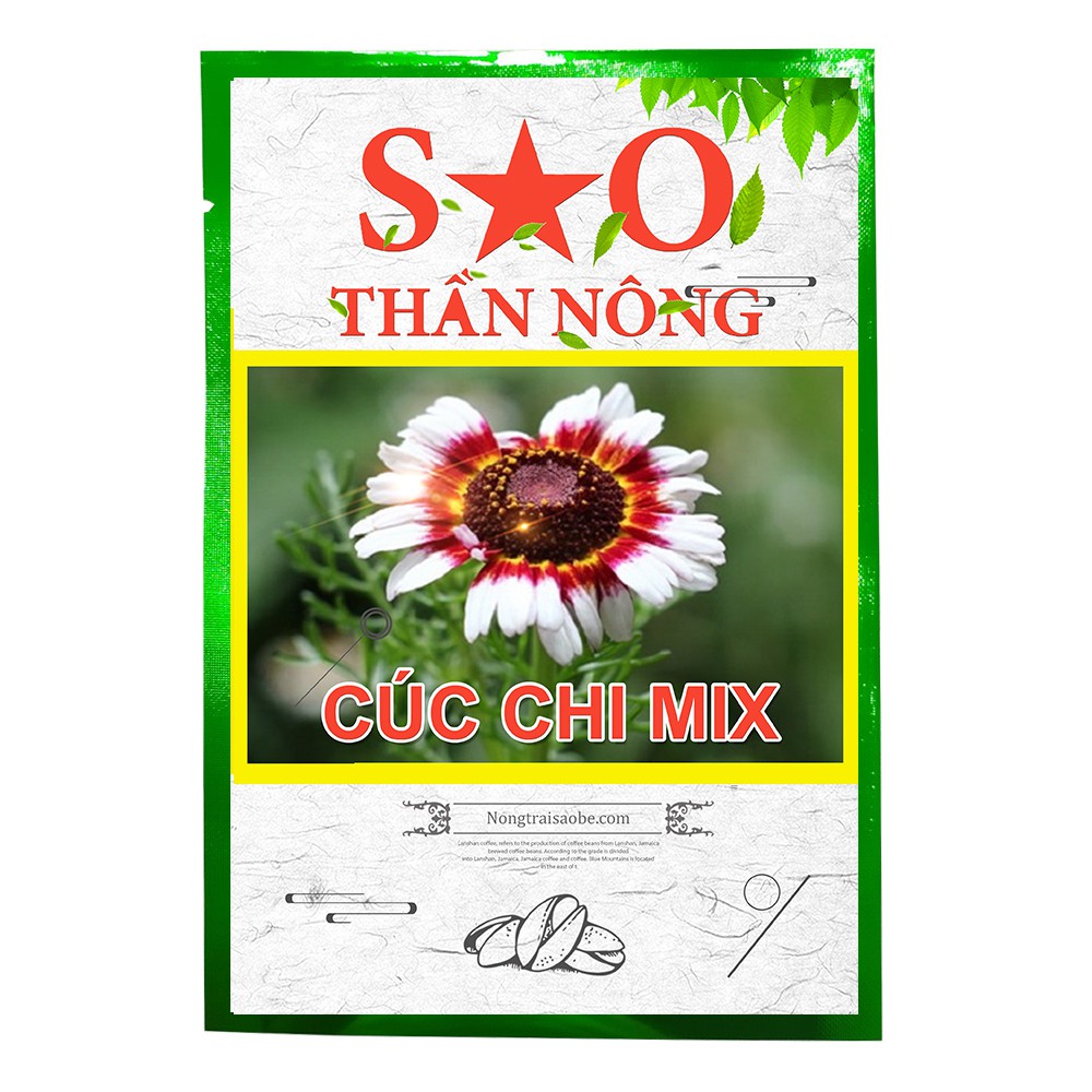 Hạt giống hoa cúc chi Mix nhiều màu Sao Thần Nông gói 100 Hạt