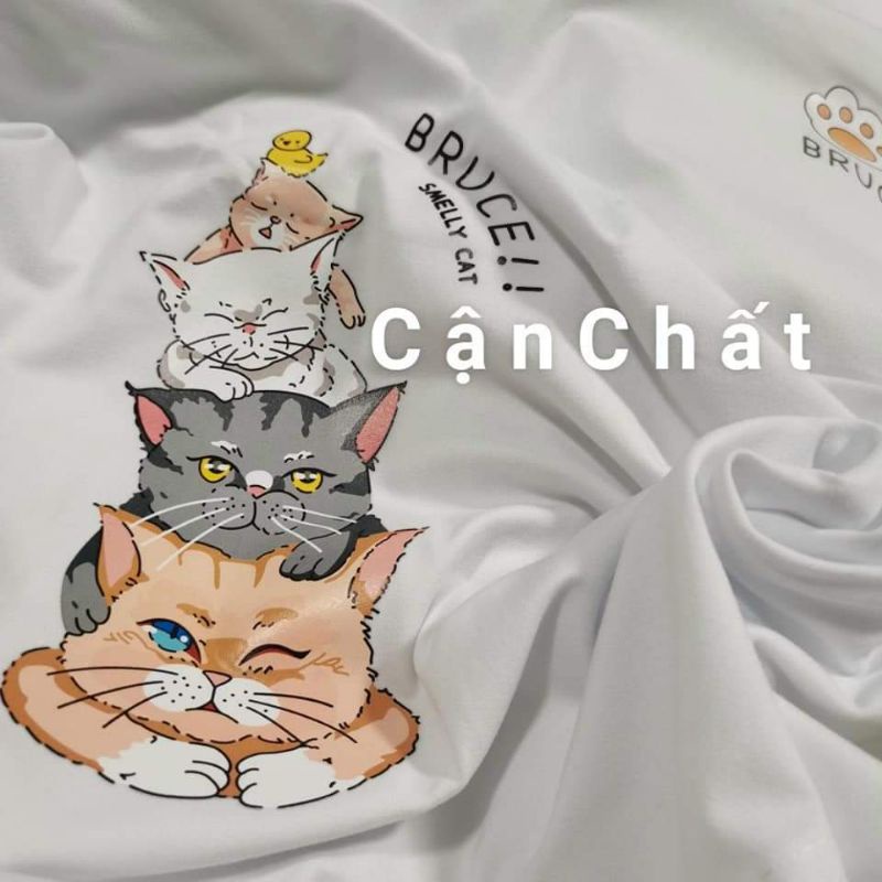 Sét Hai Áo Phông Tay Dài Nữ