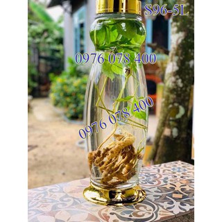 [ CHÍNH HÃNG ] Bình Ngâm Rượu Hàn Quốc 5 Lít, Bình Thuỷ Tinh Yongcheon Dáng Hồ Lô, BHQ-S96