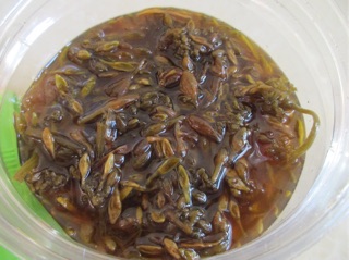 Hoa Đu Đủ Tươi Ngâm Mật Ong