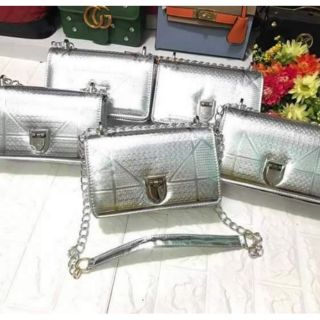 Túi xách dior bạc xích trắng