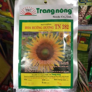 Hạt giống Hoa Hướng Dương TN282 (Sunflower TN282)