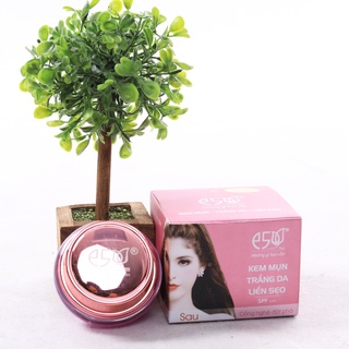 Kem Mụn Trắng Da Liền Sẹo E5