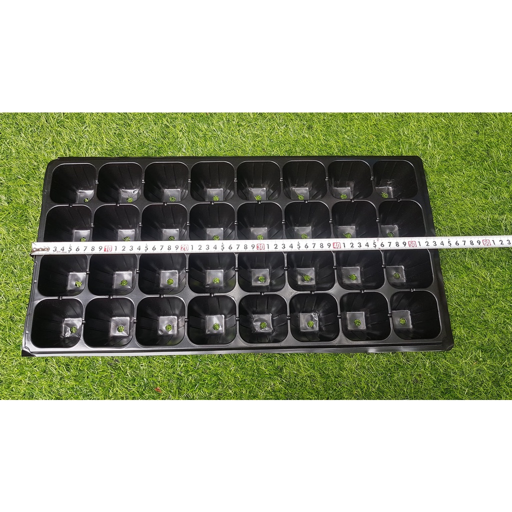 Khay mỏng ươm hạt 32 lỗ.