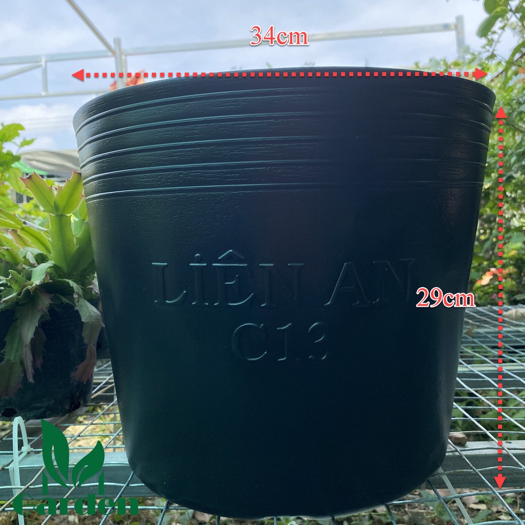 Chậu nhựa đen dẻo trồng và ươm cây C13  - Liên An