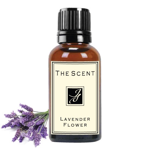 Tinh dầu hoa oải hương thơm phòng - Lavender - The Scent - Dung tích 15ml, 100ml