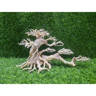 Lũa Bonsai nghiêng số 2 cấy rêu.( N25-C15)