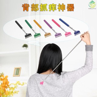 Cây Gãi Lưng 5 Mức 20-68cm