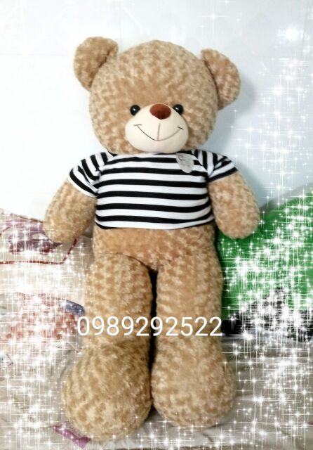[Giá tốt hôm nay] Gấu Teddy 1m4 CAO CẤP [Ảnh Shop chụp]