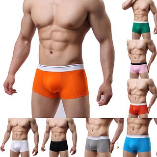 Quần lót boxer brief cho nam