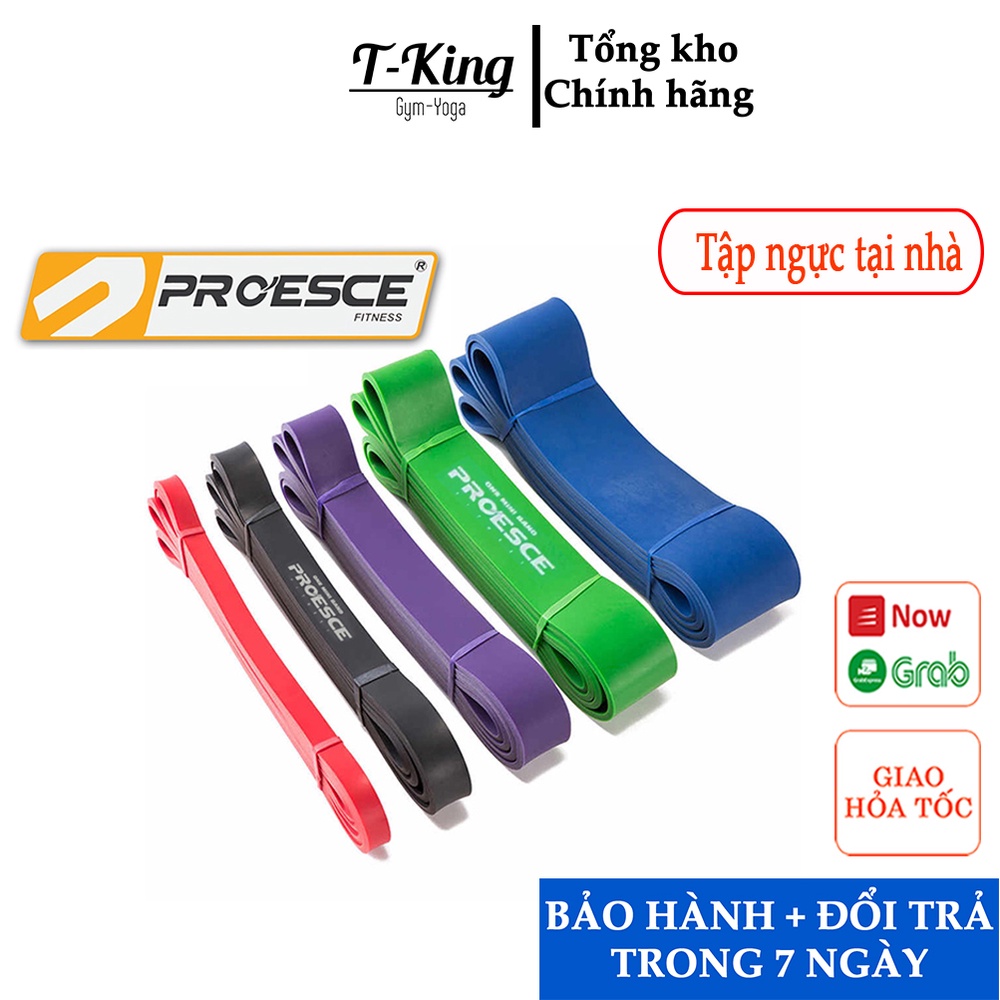 Dây Kháng Lực tập gym Powerband - Tập Toàn Thân Chính hãng - mức lực nặng 125Lbs, 175Lbs