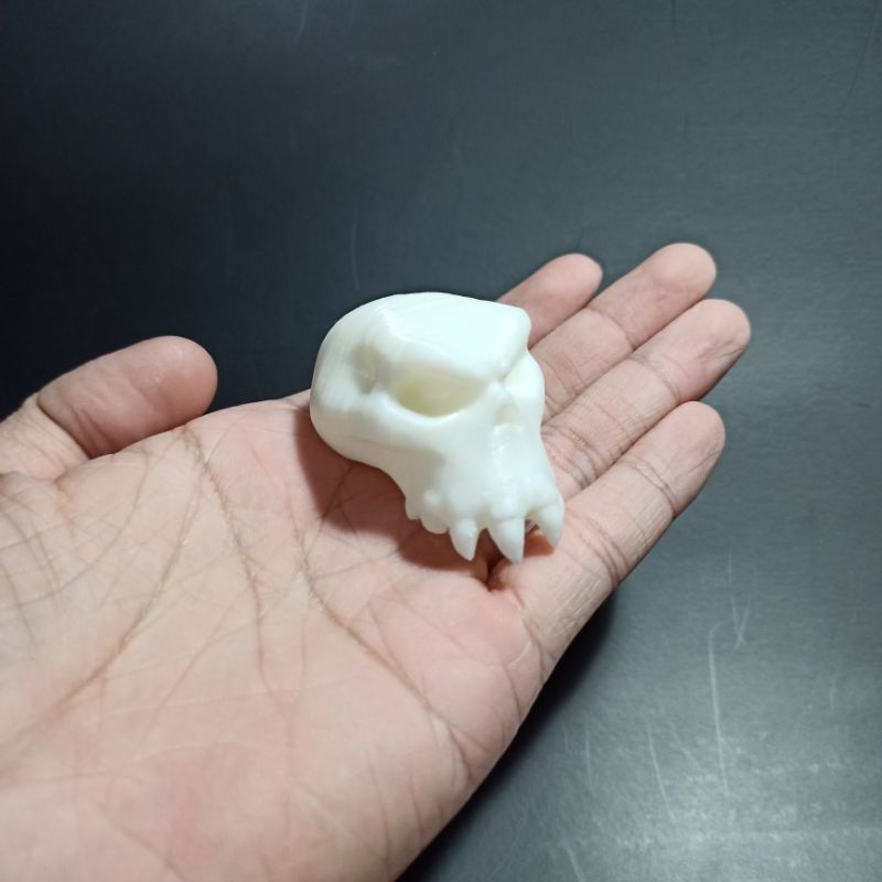 Mô hình đầu lâu Ork cao 36mm tỉ lệ 1:6, trang trí tiểu cảnh kinh dị, sa bàn, chuồng bò sát, halloween