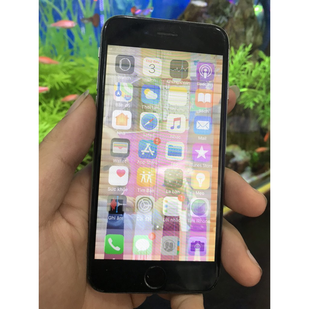 Cụm iphone 6G | BigBuy360 - bigbuy360.vn