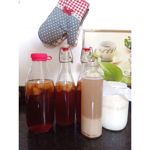 Nấm Water Kefir, nấm nước, đồ uống giải khát có lợi cho sức khoẻ
