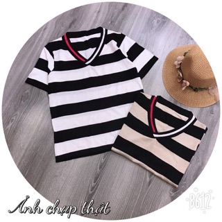 ÁO LEN SỌC GUCCI