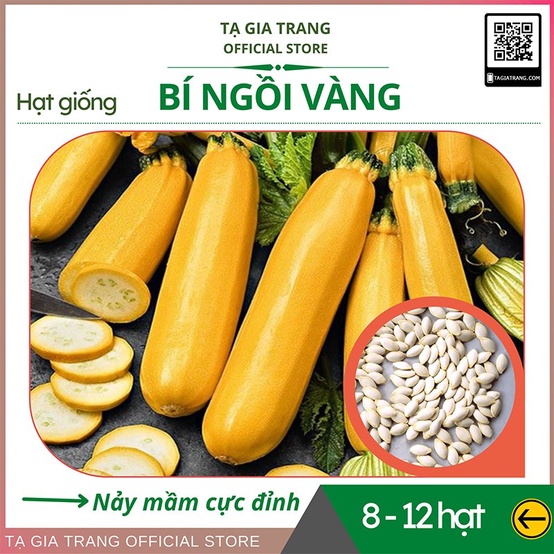 Hạt giống bí ngồi vàng - Gói 1g (10-15 hạt)