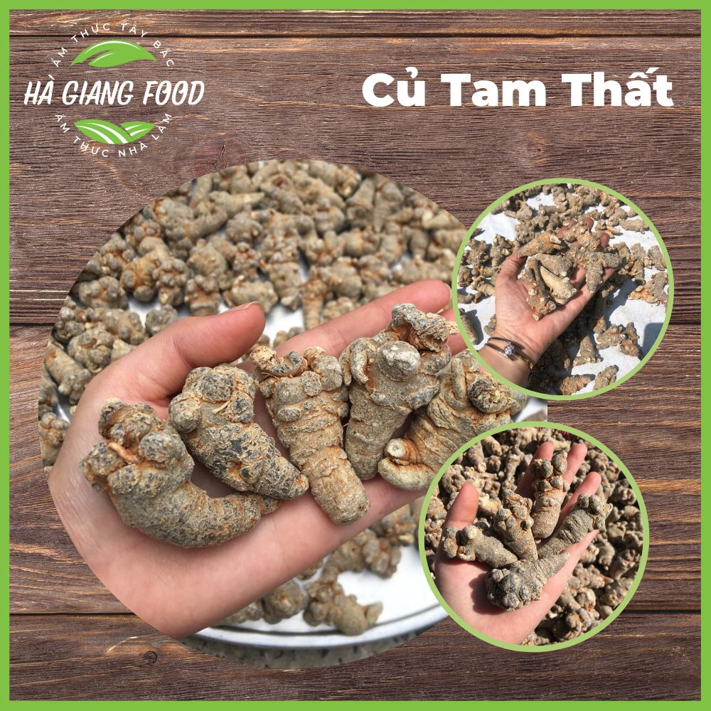 Củ Tam Thất Thiên Nhiên Từ Rừng Tây Bắc - Đặc Sản Tây Bắc