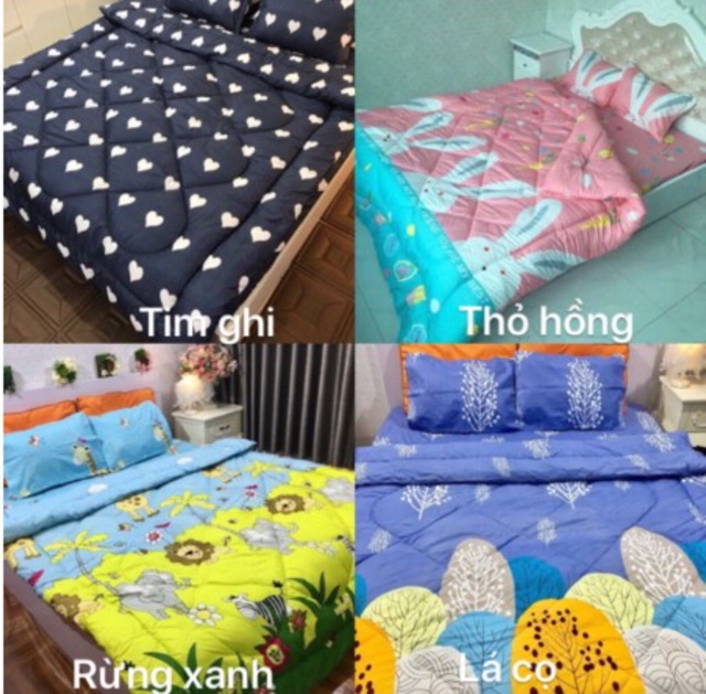 Bộ Chăn Phao Ga Gối Poly trần bông chăn phao ấm áp cho mùa đông