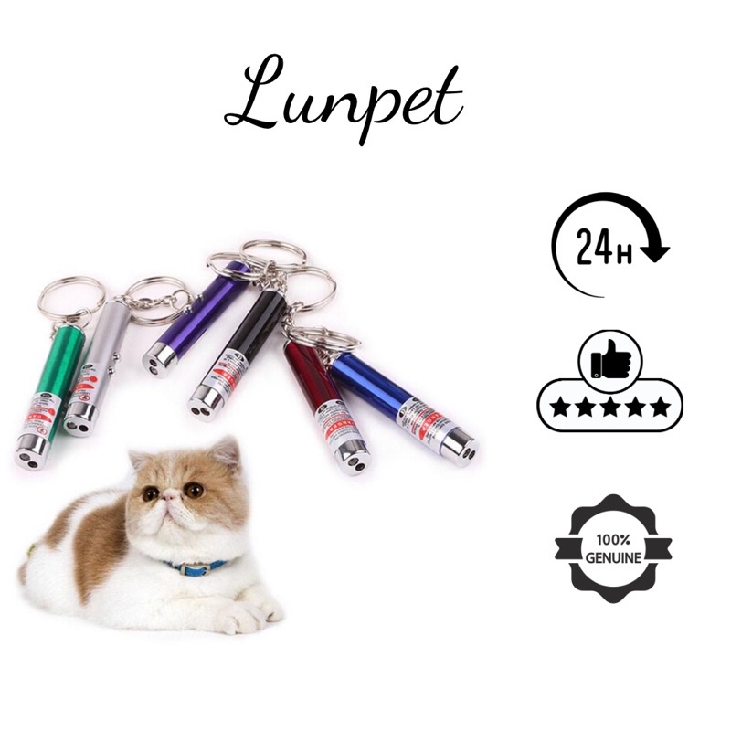 Tia laze đồ chơi chó mèo