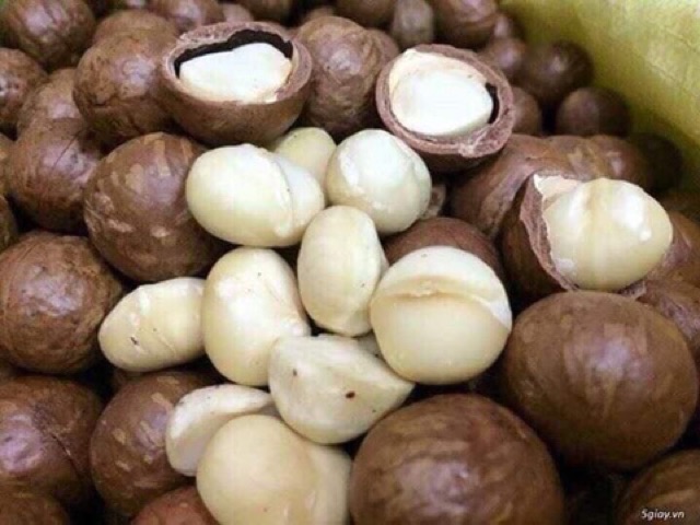 500gr Hạt Maccadamia Úc hàng loại 1
