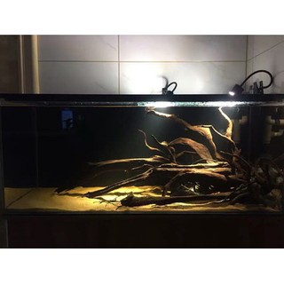 Đèn Led Rọi Ánh Sáng Trắng Lạnh
