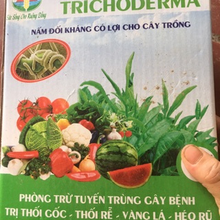 Nấm đối kháng trộn đất trồng hoa