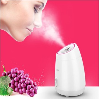 Máy xông hơi da mặt hoa quả tươi Maoer