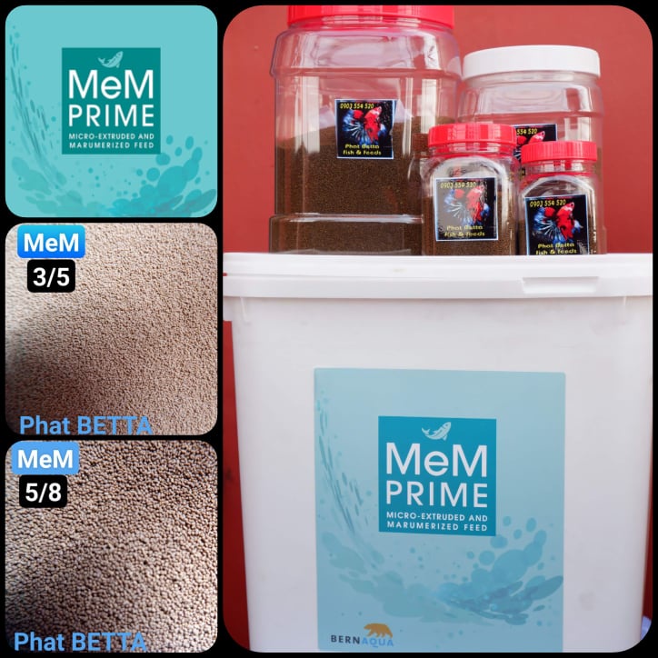 500 gram- 1 ký. Cám MEM PRIME nhập khẩu Bỉ. Thức ăn cho cá cao cấp