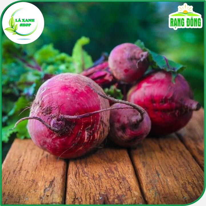 Hạt giống Củ Dền Đỏ Ngọt, Củ To, Trồng Quanh Năm, Kháng Sâu Bệnh Tốt (gói 5 gram) - Hạt giống Rạng Đông