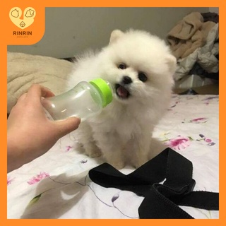 Bình sữa cho thú cưng
