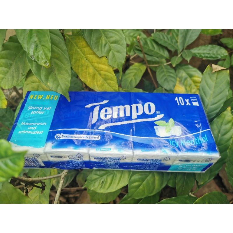 Khăn giấy Tempo 10 gói bạc hà bỏ túi