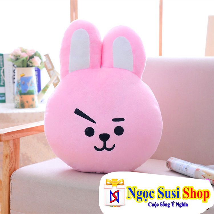 Gối ôm 30*40cm BT21