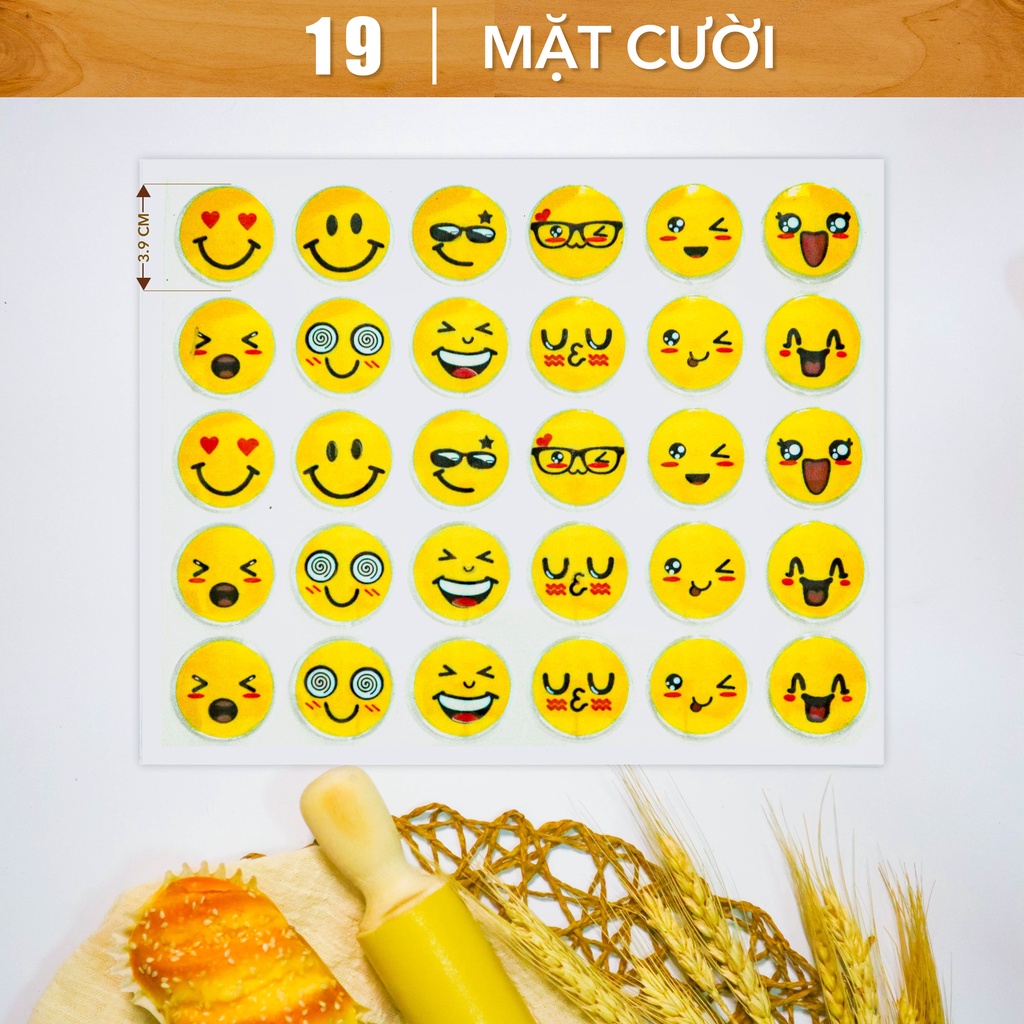 Hộp 10 khuôn socola in hình Mặt cười - Chocolate mold Emoji (MS 19) - Đồng Tiến Việt Nam