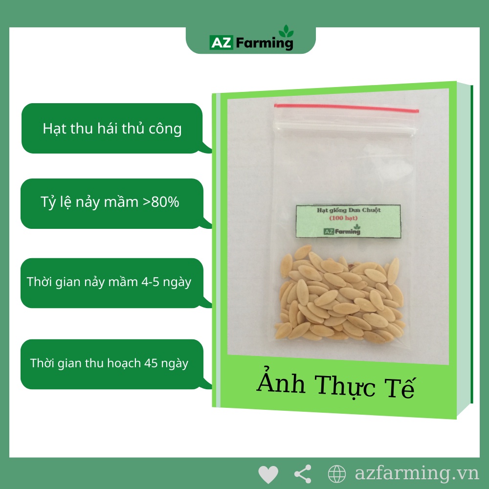 Hạt Giống Dưa Leo (Dưa Chuột) - Gói 100 Hạt - AZ Farming