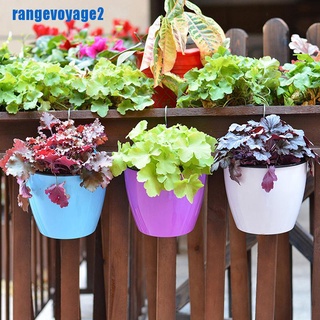 Chậu Nhựa Trồng Cây Gắn Tường Sáng Tạo