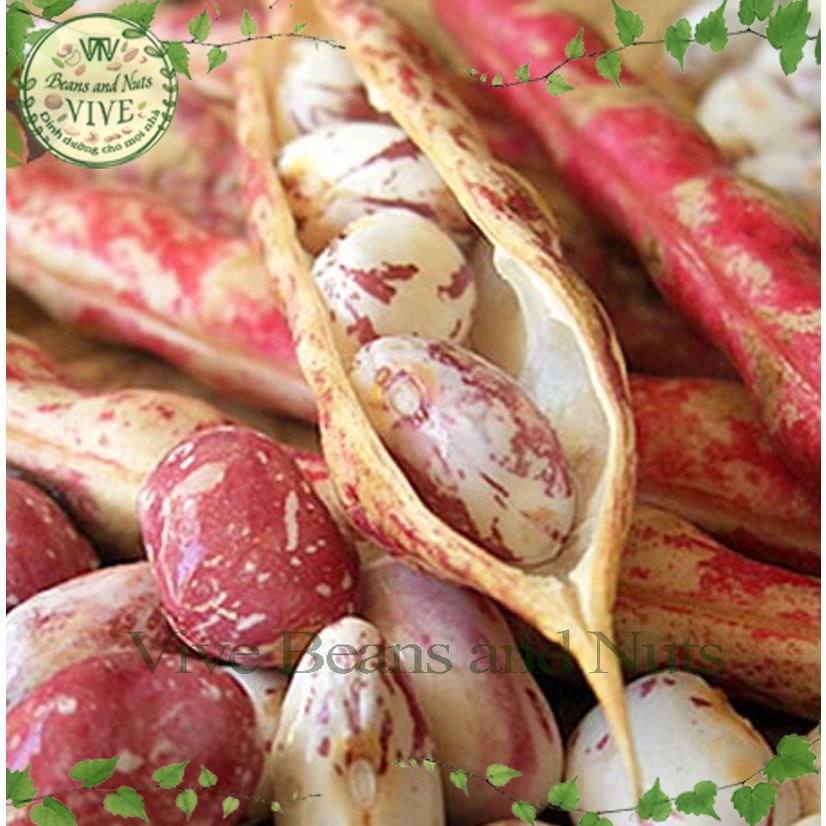 Đậu Ngự  túi 1kg hút chân không