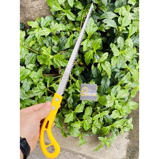 Cưa cây cảnh bonsai buddy bc0027, cưa cành tiểu cảnh