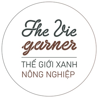 Hạt giống RẠNG ĐÔNG - Rau dền - 8 loại