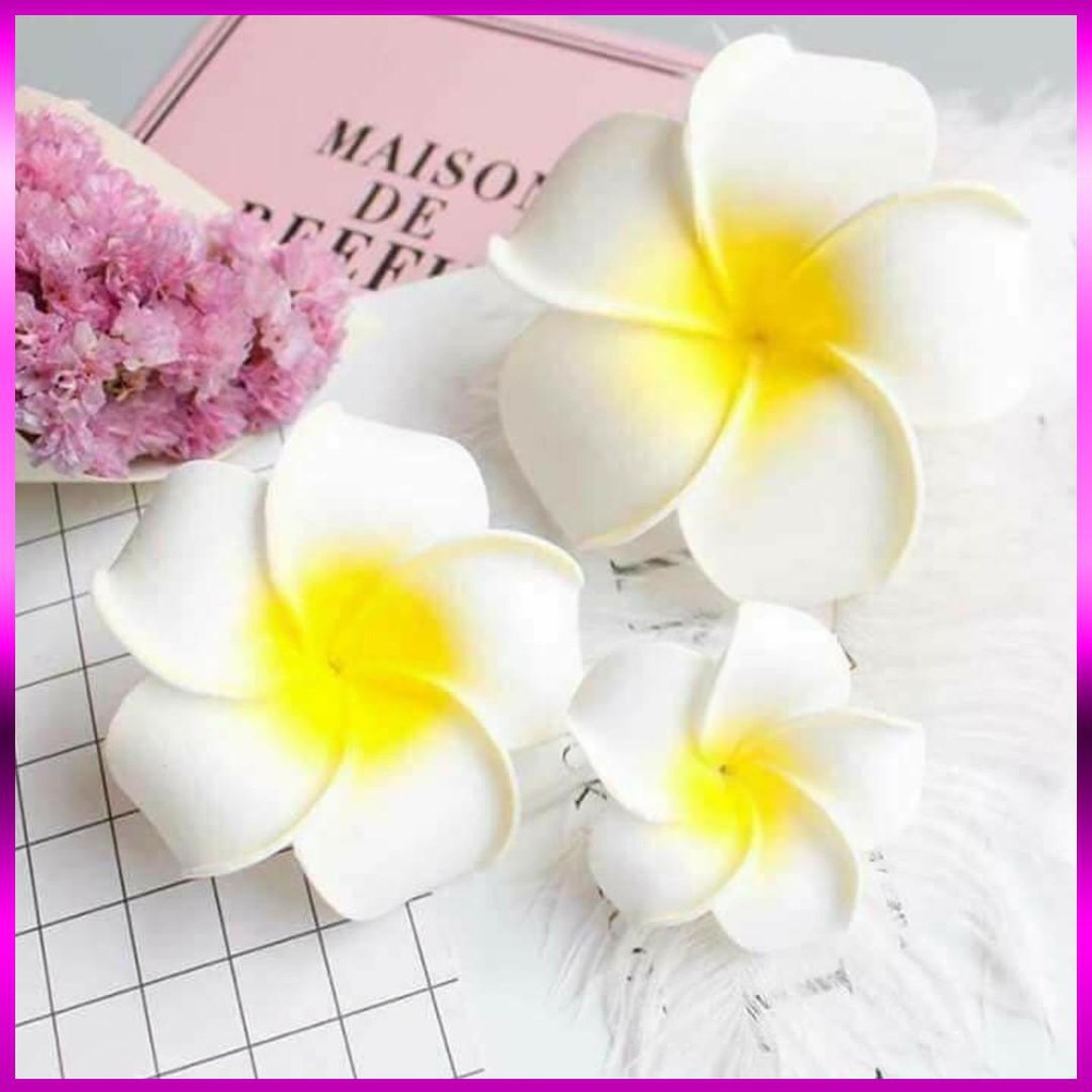 Combo 5 Bông Hoa Đại Cài Tóc