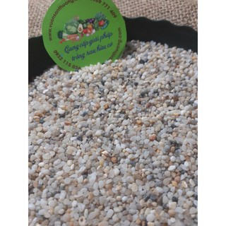 1kg Sỏi Biển Tự Nhiên 1_2mm Lót Chậu, Bể Cá, Trang Trí Siêu Xinh