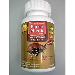 Thức phẩm Vitamin Bổ máu Ferric Plus-k cho chó - mèo (hộp/40 viên)