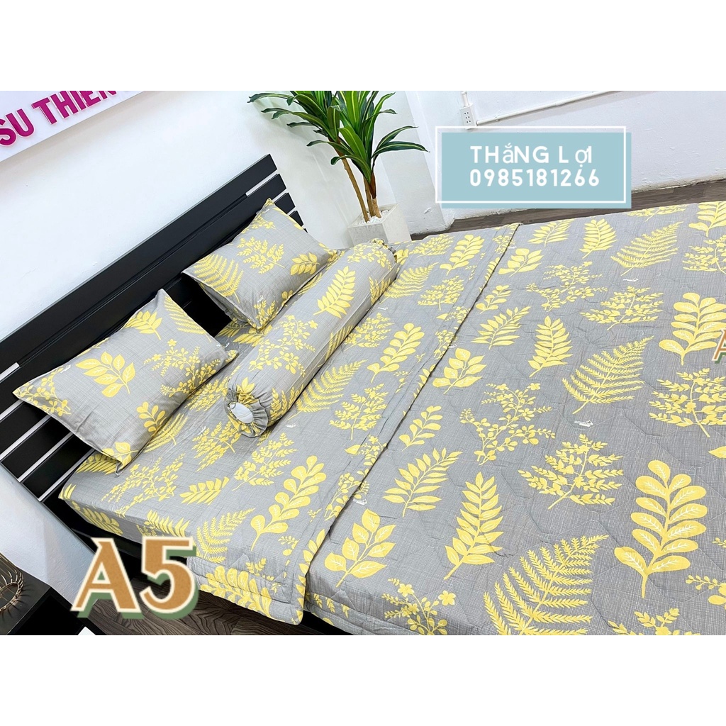 Ga giường Cotton 100% drap giường chính hãng IN LOGO, không xù lông, không phai màu,