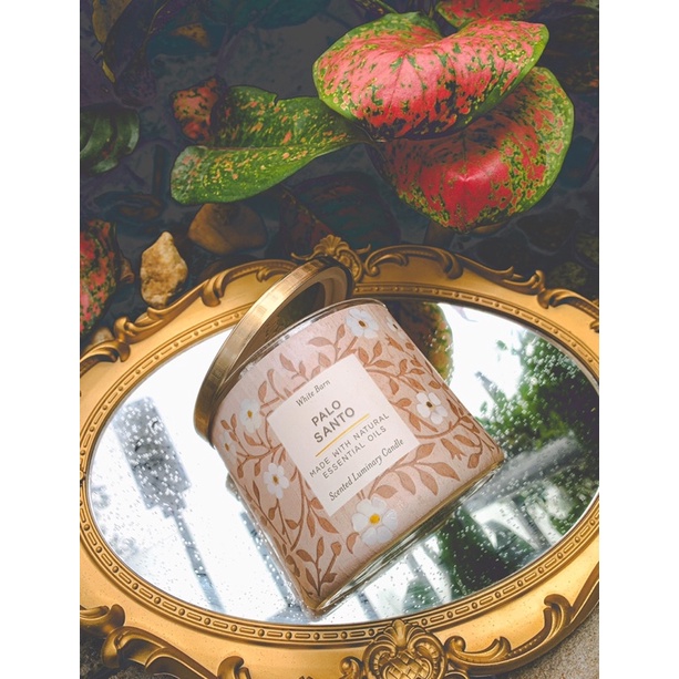 Bộ sưu tập nến 3 bấc thu đông Bath&Bodyworks