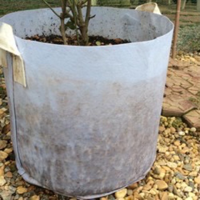Túi vải trồng cây 2 quai xách kích thước 35x30cm