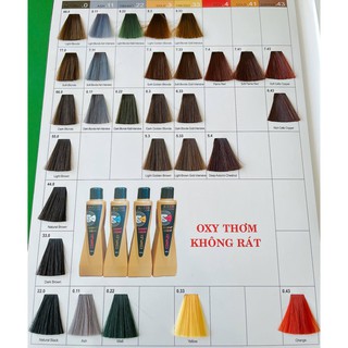KEM NHUỘM TÓC RASTO 54 MÀU CÂN BẰNG LÊN MÀU CHUẨN SALON 100ML👈