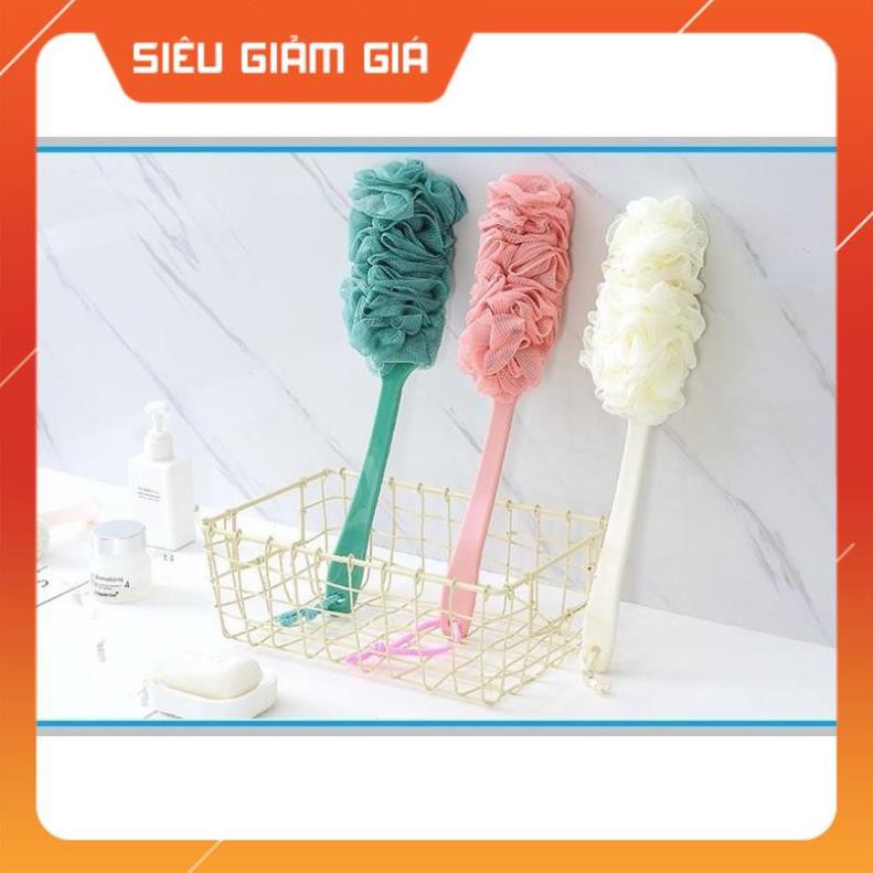Sale sốc -  Cây cọ lưng siêu sạch - (HCM)