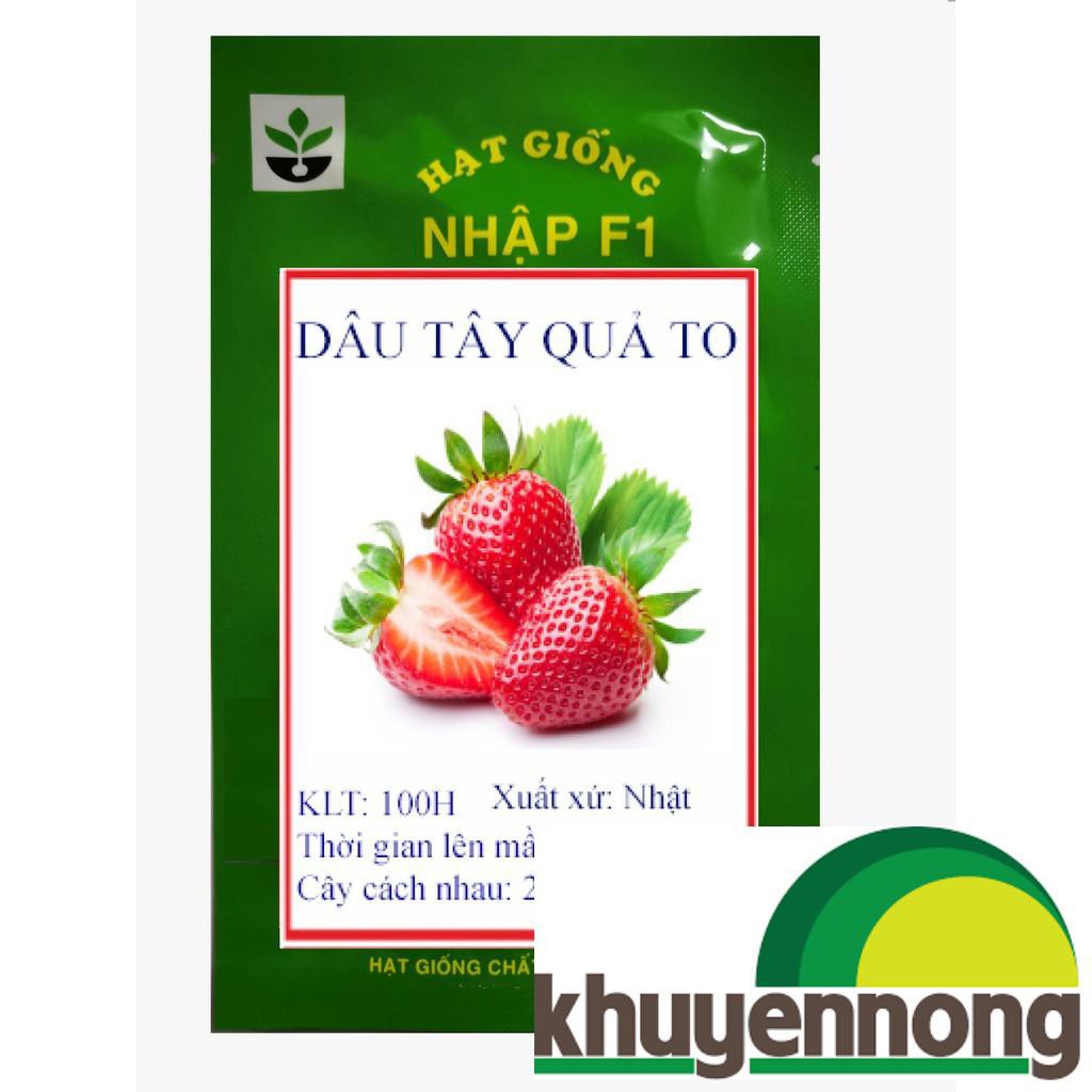 Gói 100 hạt giống quả dâu tây quả to chịu nhiệt