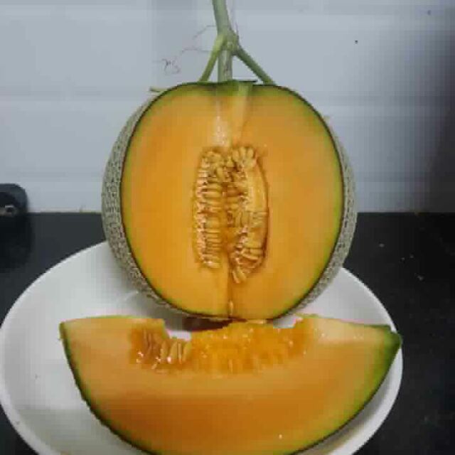 Dưa lưới .