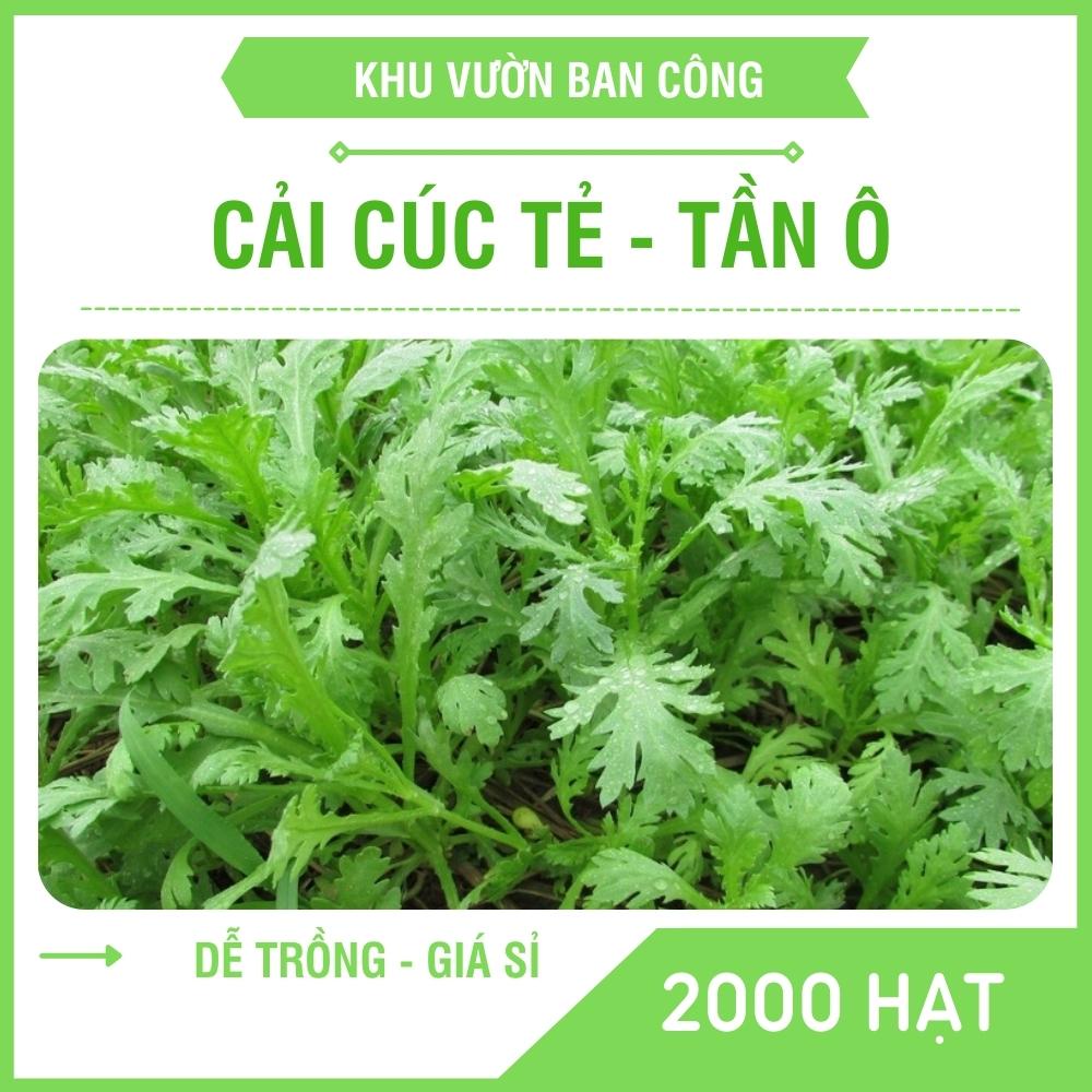 Hạt Giống Rau Cải Cúc ( Tần Ô), Cải Cúc Tẻ Chân Lùn Lá Sẻ Gói 20G 2000 Hạt  - Khu Vườn Ban Công | Shopee Việt Nam